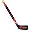 Wincraft Mini hokejka Player Calgary Flames NHL Wincraft Mini hokejka Player Calgary Flames NHL