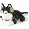 Plyšák RAPPA Plyšový pes husky 36 cm, Eco-Friendly (8590687230118) Plyšák RAPPA Plyšový pes husky 36 cm, Eco-Friendly (8590687230118)
