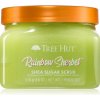 Tree Hut Rainbow Sherbet telový peeling 510 g Tree Hut Rainbow Sherbet telový peeling 510 g