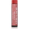 Burt’s Bees Tinted Lip Balm balzam na pery odtieň Red Dahlia 4.25 g Burt’s Bees Tinted Lip Balm balzam na pery odtieň Red Dahlia 4.25 g