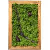 Machový obraz Ls 30x20cm Machový obraz Ls 30x20cm