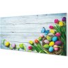 Sklenený obraz Eggs tulipány motýľ 100x50 cm Sklenený obraz Eggs tulipány motýľ 100x50 cm