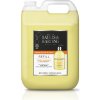 BAYLIS & HARDING Náhradná náplň tekutého mydla 2 l -Mandarínka & Grapefruit Náplň do tekutého mýdla, 2 l BAYLIS & HARDING Náhradná náplň tekutého mydla 2 l -Mandarínka & Grapefruit Náplň do tekutého mýdla, 2 l