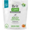 Brit Care Dog Grain-free Adult Large Breed - salmon and potato, 1kg Brit Care Dog Grain-free Adult Large Breed - salmon and potato, 1kg