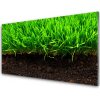 Nástenný panel Tráva príroda rastlina 100x50 cm Nástenný panel Tráva príroda rastlina 100x50 cm