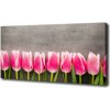 Foto obraz na plátne do obývačky Ružové tulipány 100x50 cm Foto obraz na plátne do obývačky Ružové tulipány 100x50 cm