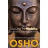 Discover the Buddha Discover the Buddha