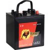 Banner DCT35 245Ah 6V Banner DCT35 245Ah 6V