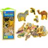 Sada Drevené Magnetky Dinosaurov 20 Kusov Farebné Sada Drevené Magnetky Dinosaurov 20 Kusov Farebné