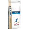 Royal Canin Renal Special Cat 2 kg Royal Canin Renal Special Cat 2 kg