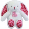 Plyšový zajačik Bunny Je T'aime Doudou et Compagnie v darčekovej taške biely 25 cm od 0 mes Plyšový zajačik Bunny Je T'aime Doudou et Compagnie v darčekovej taške biely 25 cm od 0 mes