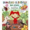 Divadélko se zvířátky na louce - Romana Suchá, Vendula Hegerová Divadélko se zvířátky na louce - Romana Suchá, Vendula Hegerová