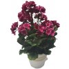 Umelý Muškát Pelargónia v črepníku O 25cm x výška 49cm tm. ružová záťažový aranžmán Umelý Muškát Pelargónia v črepníku O 25cm x výška 49cm tm. ružová záťažový aranžmán
