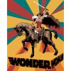 Zuty – Wonder Woman na koni plagát, 40×50 cm, vypnuté plátno na rám 8596530191612 Zuty – Wonder Woman na koni plagát, 40×50 cm, vypnuté plátno na rám 8596530191612