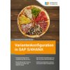 Variantenkonfiguration in SAP S/4HANA (Dieter Schraad)(Brožovaná) Variantenkonfiguration in SAP S/4HANA (Dieter Schraad)(Brožovaná)