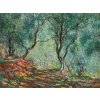 Plagát, Obraz - Olive Trees in the Moreno Garden (1884), Claude Monet, 40 × 30 cm Plagát, Obraz - Olive Trees in the Moreno Garden (1884), Claude Monet, 40 × 30 cm