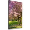 Vertikálny foto obraz canvas Višne 50x100 cm Vertikálny foto obraz canvas Višne 50x100 cm