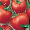 Semená: Paradajky tyčové ORKADO F1 Semená: Paradajky tyčové ORKADO F1