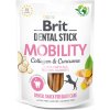 BRIT Dental Stick Mobility with Curcuma & Collagen 7 kusov BRIT Dental Stick Mobility with Curcuma & Collagen 7 kusov