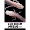 North American Amphibians (Greene)(Pevná) North American Amphibians (Greene)(Pevná)