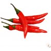 Tabasco (semená) chilli Tabasco (semená) chilli