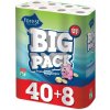 Regina Forest Big Pack 2-vrstvový 48 ks Regina Forest Big Pack 2-vrstvový 48 ks