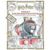 Harry Potter: Toulky kouzelnickým světem - oficiální kniha omalovánek - Paula Rozelle Hanback Harry Potter: Toulky kouzelnickým světem - oficiální kniha omalovánek - Paula Rozelle Hanback
