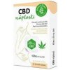 CBD náplasti 12 ks CBD náplasti 12 ks