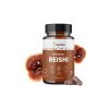 Blendea Reishi BIO 90 kapsúl Blendea Reishi BIO 90 kapsúl