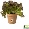 Kvetináč Green Basics - mild terra 24 cm Kvetináč Green Basics - mild terra 24 cm