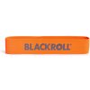 Blackroll Loop Band 2,9 kg, oranžová Blackroll Loop Band 2,9 kg, oranžová