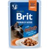 Kapsička Brit Premium Cat Delicate Fillets in Gravy with Turkey 85 g Kapsička Brit Premium Cat Delicate Fillets in Gravy with Turkey 85 g