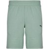 Puma TECH SHORTS Modrá