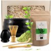 Matcha Mary Rose 100 g Matcha Mary Rose 100 g