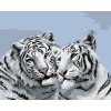 ZUTY Maľovanie podľa čísel - BIELY TIGER PORTRÉT (D. RUSTY RUST) Rámovanie: bez rámu a bez vypnutia plátna, Rozmer: 40x50 cm ZUTY Maľovanie podľa čísel - BIELY TIGER PORTRÉT (D. RUSTY RUST) Rámovanie: bez rámu a bez vypnutia plátna, Rozmer: 40x50 cm
