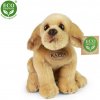 Plyšový labrador 20 cm - plyšové hračky Plyšový labrador 20 cm - plyšové hračky