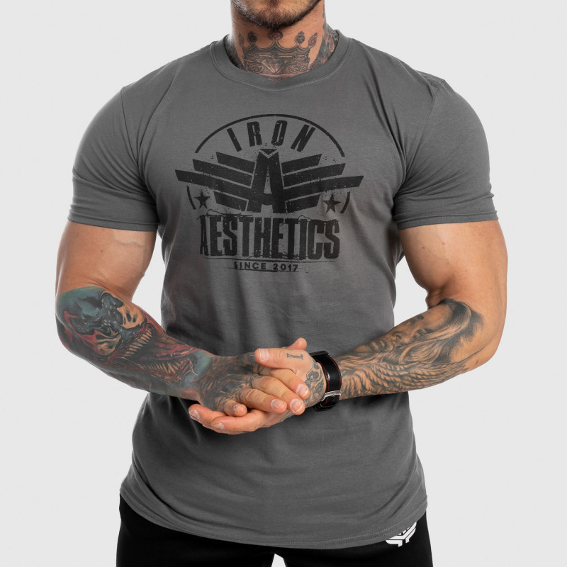 Force Pánske fitness tričko Iron Aesthetics sivé Sivá