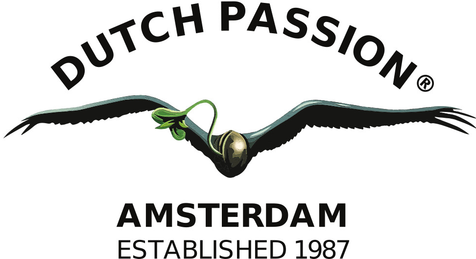 Dutch Passion Think Different Auto 0% THC Balenie: 1 ks