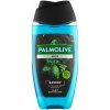 Palmolive Men Revitalising Sport sprchový gél 500 ml