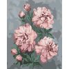ZUTY Maľovanie podľa čísel - RUŽOVÉ PIVÓNIE NA ABSTRAKTNOM POZADÍ Rámovanie: bez rámu a bez vypnutia plátna, Rozmer: 80x100 cm ZUTY Maľovanie podľa čísel - RUŽOVÉ PIVÓNIE NA ABSTRAKTNOM POZADÍ Rámovanie: bez rámu a bez vypnutia plátna, Rozmer: 80x100 cm