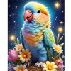 Diamantový obraz Papagáj v hniezde Diamantový obraz Papagáj v hniezde
