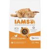 IAMS Cat Adult Chicken 10 kg IAMS Cat Adult Chicken 10 kg