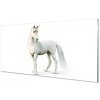 Sklenený obraz biely jednorožec 100x50 cm Sklenený obraz biely jednorožec 100x50 cm