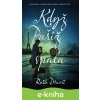 E-kniha Když Paříž spala - Ruth Druart E-kniha Když Paříž spala - Ruth Druart