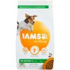 Iams For Vitality Adult Small & Medium Breed Lamb s jahňacím mäsom 3 kg