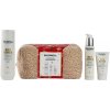 Goldwell Dualsenses Rich Repair Cristmas Set - Šampon 250 ml + sérum 100 ml + maska 50 ml Dárková sada Goldwell Dualsenses Rich Repair Cristmas Set - Šampon 250 ml + sérum 100 ml + maska 50 ml Dárková sada
