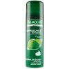 Palmolive Classic pena na holenie 300 ml