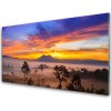 Obraz na akrylátovom skle Stromy hmla krajina 100x50 cm Obraz na akrylátovom skle Stromy hmla krajina 100x50 cm