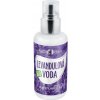 Purity Vision Bio Levanduľová voda 100 ml Purity Vision Bio Levanduľová voda 100 ml