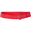 Firedog bezpečnostný elastický obojok s kovovou sponou 30 mm UNI neónovooranžový Firedog bezpečnostný elastický obojok s kovovou sponou 30 mm UNI neónovooranžový